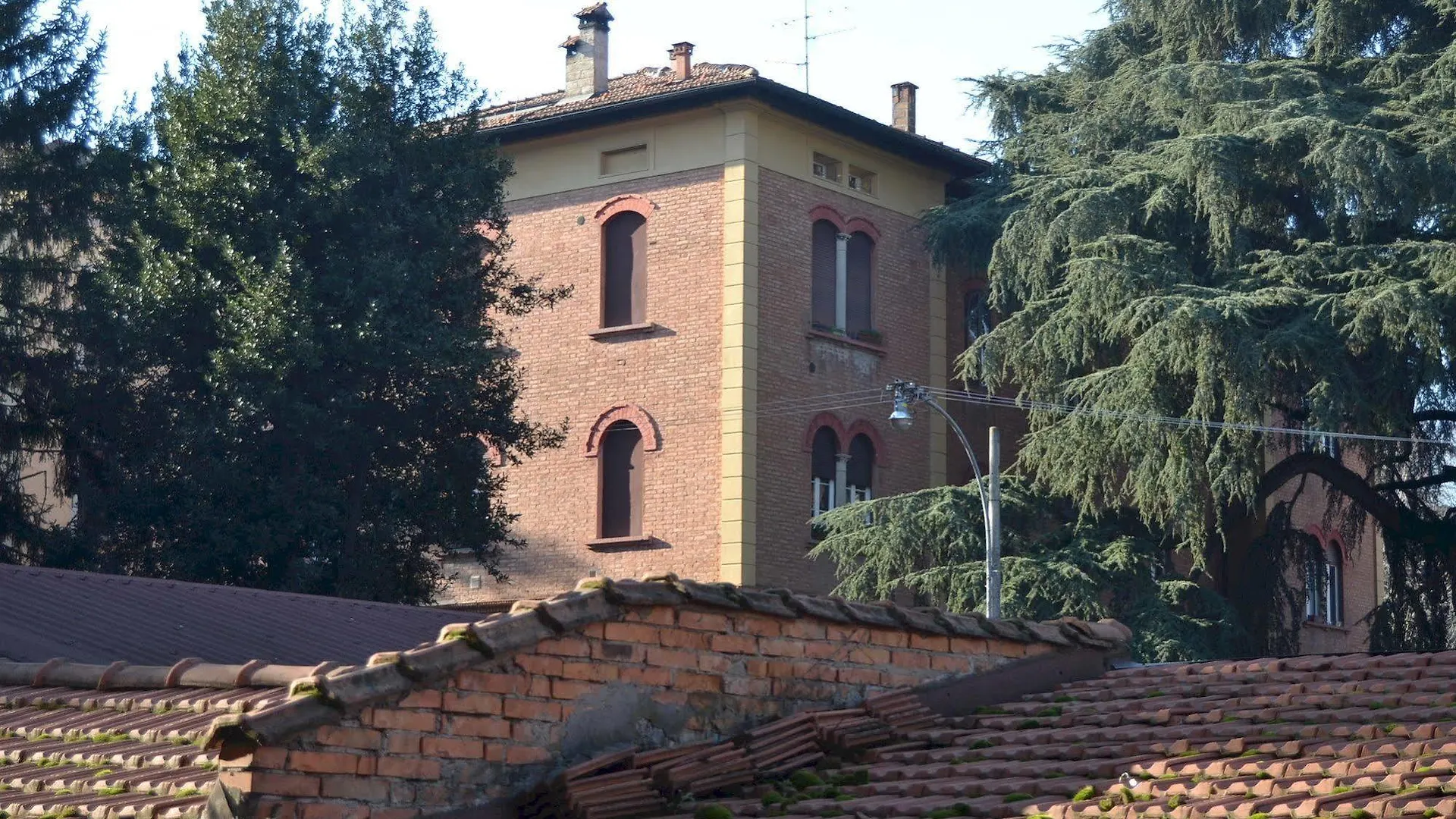 Central Avenue B&B Bologna