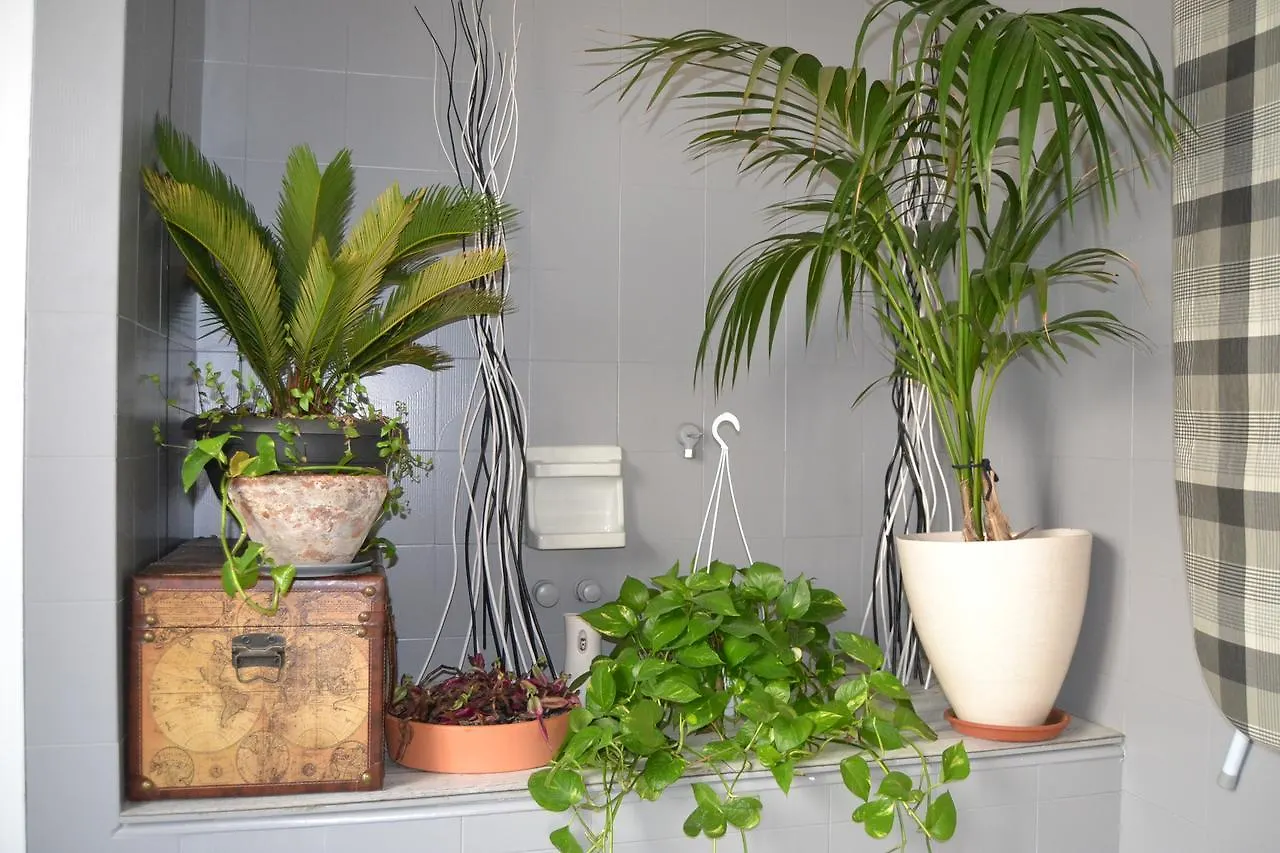 Central Avenue B&B Bologna Italy